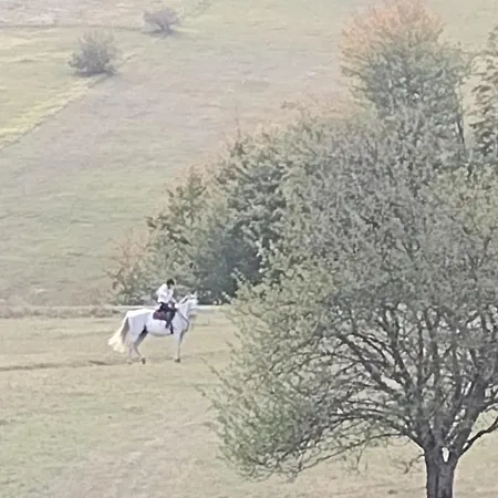 Domacinstvo Blagojevic 바이나 바슈타