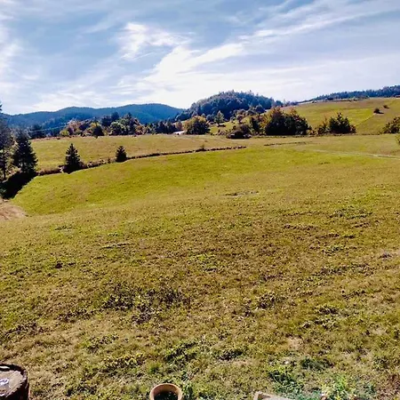 Domacinstvo Blagojevic 아파트 *