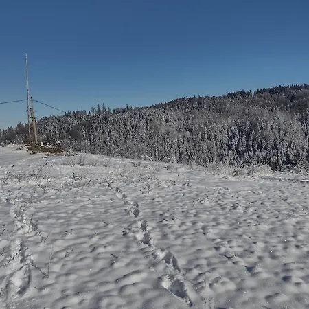 아파트 Domacinstvo Blagojevic 바이나 바슈타