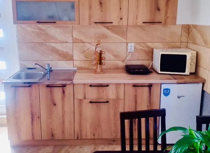 Апартаменты Domacinstvo Blagojevic