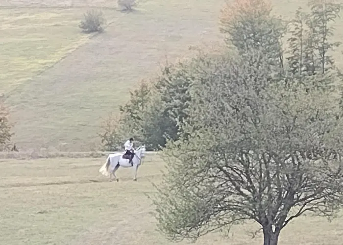 Domacinstvo Blagojevic Баина-Башта