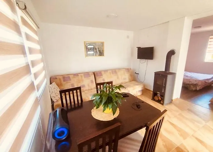 Апартаменты Domacinstvo Blagojevic *