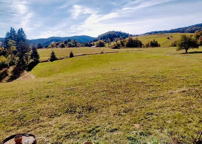 Domacinstvo Blagojevic Апартаменты *