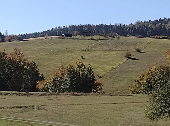 Domacinstvo Blagojevic * Баина-Башта