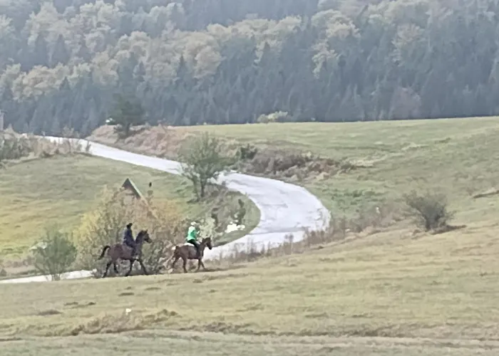 Апартаменты Domacinstvo Blagojevic *