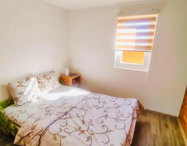 Domacinstvo Blagojevic *