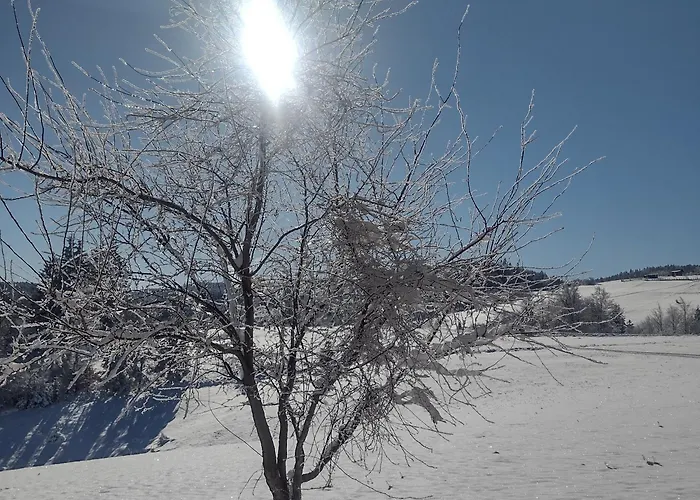 Апартаменты Domacinstvo Blagojevic