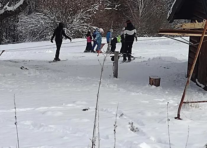 Domacinstvo Blagojevic *